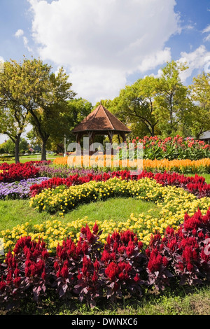Gazebo et fleurissement de cockscomb (Celosia) rouge, jaune tagete (Tagetes), bleu (floss Ageratum) Banque D'Images