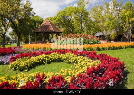 Gazebo et fleurissement de cockscomb (Celosia) rouge, jaune tagete (Tagetes), bleu (floss Ageratum) Banque D'Images
