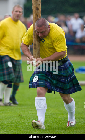 Sportsman à propos de "mélanger les Caber' au rassemblement. Cowal Jeux écossais traditionnel qui se tient chaque année à Dunoon en Ecosse Banque D'Images