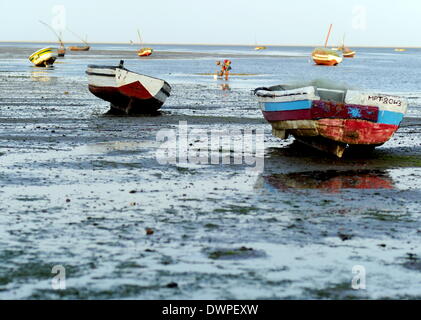 Maputo, Mozambique. Août 15, 2013. Les bateaux de pêche se situent sur la plage à marée basse à Maputo, Mozambique, 15 août 2013. Une femme rassemble les crabes entre les bateaux. Photo : Britta Pedersen/dpa/Alamy Live News Banque D'Images