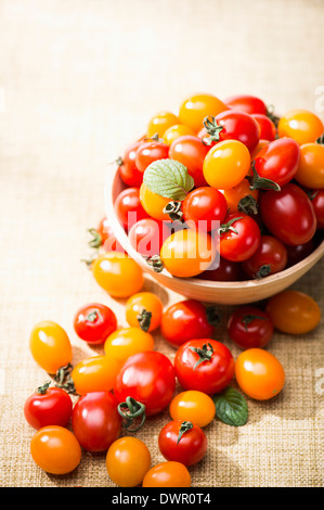 Gros plan de pois sucré tomates Banque D'Images