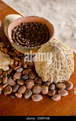 Belize, Punta Gorda, Colombie-Britannique. Ferme de Cacao agouti. Les matières premières qui composent maya traditionnel chocolat chaud à boire. Banque D'Images