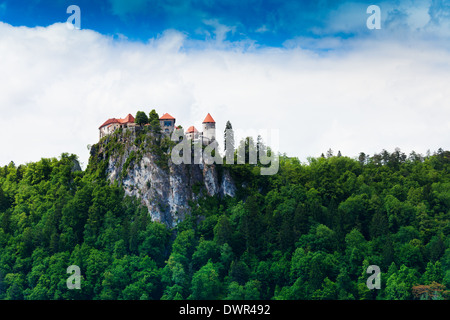 Le château de Bled sur la haute montagne forêt entre falaise, Slovénie Banque D'Images