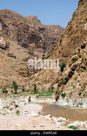 Maroc ; LES FALAISES ET LA RIVIÈRE DES Gorges de Todra NR. TINGHIR Banque D'Images