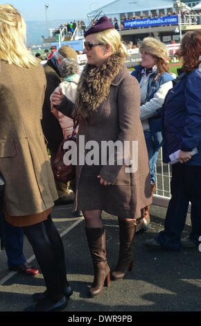 Cheltenham, Gloucestershire, UK . 12Th Mar, 2014. Zara Phillips au jour deux, mesdames Jour du Festival de Cheltenham Gold Cup Crédit : Date 2014 jules annan/Alamy Live News Banque D'Images