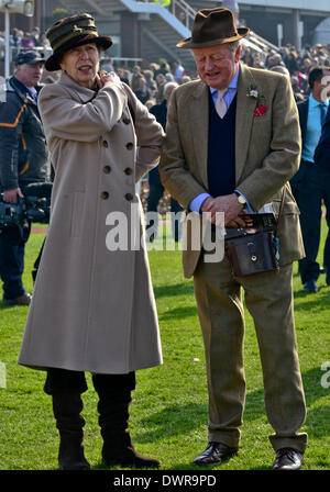 Cheltenham, Gloucestershire, UK . 12Th Mar, 2014. Son Altesse Royale la princesse Anne à jour deux, mesdames Jour du Festival de Cheltenham Gold Cup 2014 Credit : Jules annan/Alamy Live News Banque D'Images