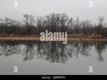 Séoul, Corée du Sud. 12 mars 2014. Les arbres se reflètent sur un lac à Ktm ou Parc de la paix de Séoul, Corée du Sud, le mercredi 12 mars, 2014. Le parc est l'un des cinq parcs de la Coupe du Monde qui avait été un enfant de 15 ans qui a eu lieu d'enfouissement plus de 92 millions de tonnes de déchets et elles ont été ouvertes en mai 2002 à l'occasion de la 17e Coupe du Monde de la FIFA Corée/Japon, selon la Corée du tourisme. Credit : Jaewon Lee/Alamy Live News Banque D'Images