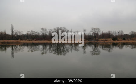 Séoul, Corée du Sud. 12 mars 2014. Les arbres se reflètent sur un lac à Ktm ou Parc de la paix de Séoul, Corée du Sud, le mercredi 12 mars, 2014. Le parc est l'un des cinq parcs de la Coupe du Monde qui avait été un enfant de 15 ans qui a eu lieu d'enfouissement plus de 92 millions de tonnes de déchets et elles ont été ouvertes en mai 2002 à l'occasion de la 17e Coupe du Monde de la FIFA Corée/Japon, selon la Corée du tourisme. Credit : Jaewon Lee/Alamy Live News Banque D'Images