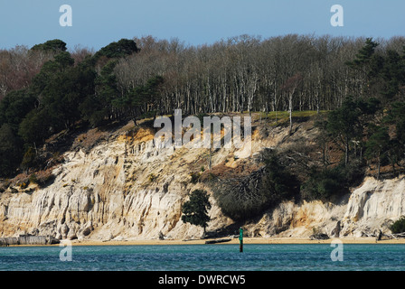 Une vue de l'île de Brownsea, dans le port de Poole Dorset UK Banque D'Images