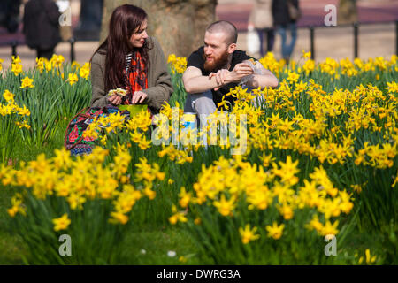 London, UK . 12Th Mar, 2014. Les Londoniens profiter de soleil au début du printemps pour profiter des nombreux parcs royaux de Londres comme les jonquilles fleurissent et ajouter cheer après un long hiver humide, où la pluviométrie moyenne a dépassé tous les records précédents. Crédit : Paul Davey/Alamy Live News Banque D'Images