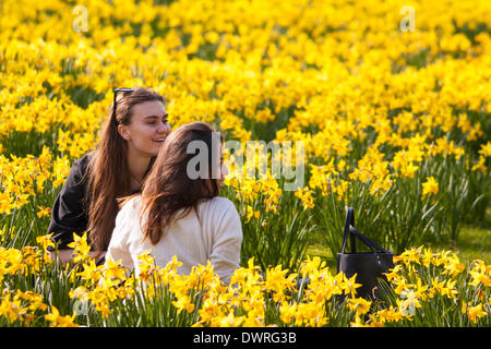 London, UK . 12Th Mar, 2014. Les Londoniens profiter de soleil au début du printemps pour profiter des nombreux parcs royaux de Londres comme les jonquilles fleurissent et ajouter cheer après un long hiver humide, où la pluviométrie moyenne a dépassé tous les records précédents. Crédit : Paul Davey/Alamy Live News Banque D'Images