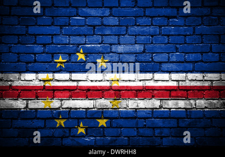 Mur de briques avec drapeau peint Banque D'Images