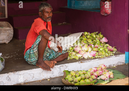 Le Sud de l'Inde du Sud Tamil Nadu Madurai marché aux fleurs mâle homme vend des guirlandes de boutons de lotus malas torans Banque D'Images