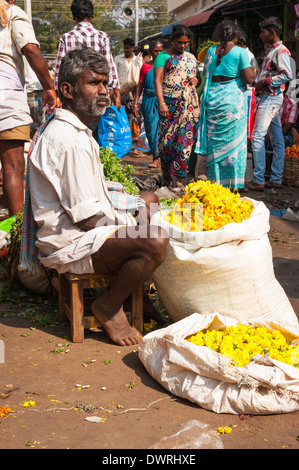 Le Sud de l'Inde du Sud Tamil Nadu Madurai marché aux fleurs mâle homme vend des sacs tagètes guirlandes torans malas clients acheteurs Banque D'Images