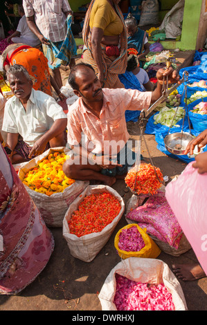 Le Sud de l'Inde du Sud Tamil Nadu Madurai marché aux fleurs mâle homme vend des fleurs de jasmin pour sacs arali guirlandes torans malas Banque D'Images