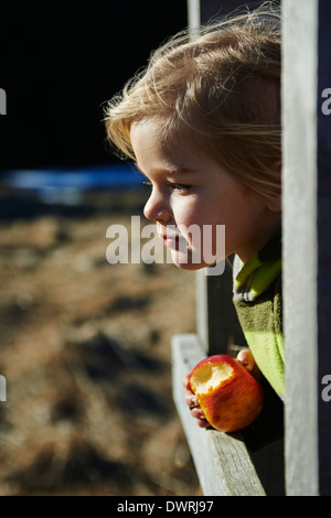 Petite blonde enfant côté fille face portrait eating apple dans la fenêtre en bois au coucher du soleil Banque D'Images