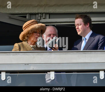 Cheltenham, Gloucestershire, Royaume-Uni. 12Th Mar, 2014. Camilla, Duchesse de Cornwall jouit d'gagnant au jour deux, mesdames Jour du Festival de Cheltenham Gold Cup 2014 Credit : Jules annan/Alamy Live News Banque D'Images