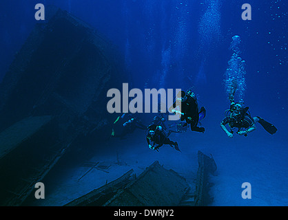 Les plongeurs d'explorer l'El Aguila naufrage à Roatan, Honduras. Le navire a coulé en 110 pieds d'eau en 1997. Banque D'Images