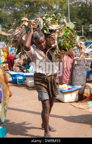 Le Sud de l'Inde du Sud Tamil Nadu Madurai marché aux fleurs mâle homme porter ensemble porte feuille feuilles de bananes luxuriante sur l'épaule Banque D'Images