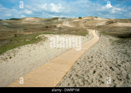 Dunes grises, de Courlande Banque D'Images