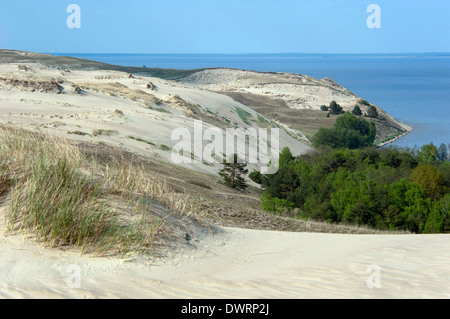 Dunes grises, de Courlande Banque D'Images