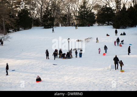 Les enfants et les parents à la luge dans Central Park à New York City USA après les fortes chutes de neige Banque D'Images