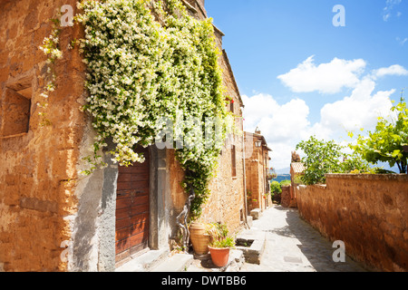 Petites Rues de Bagnoregio ville dans le Latium, Italie Banque D'Images