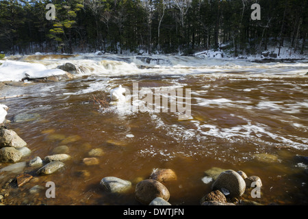 Lower Falls de la Swift River dans les Montagnes Blanches du New Hampshire, USA après de fortes pluies pendant les mois d'hiver. Banque D'Images