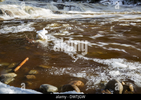 Lower Falls de la Swift River dans les Montagnes Blanches du New Hampshire, USA après de fortes pluies pendant les mois d'hiver. Banque D'Images