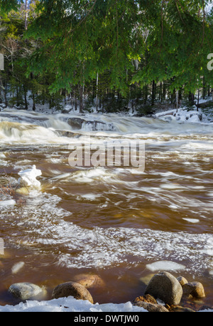 Lower Falls de la Swift River dans les Montagnes Blanches du New Hampshire, USA après de fortes pluies pendant les mois d'hiver. Ces chutes sont situées le long de l'autoroute Kancamagus. Banque D'Images