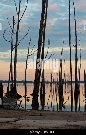 Coucher du soleil, orange glow, arbres, de l'humeur, les eaux lisses Banque D'Images