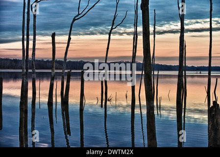 Coucher du soleil, orange glow, arbres, de l'humeur, les eaux lisses Banque D'Images