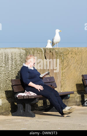 Personne lisant sur Whitby pier avec les goélands, mouettes sur mur. Whitby, North Yorkshire, Angleterre. UK Banque D'Images