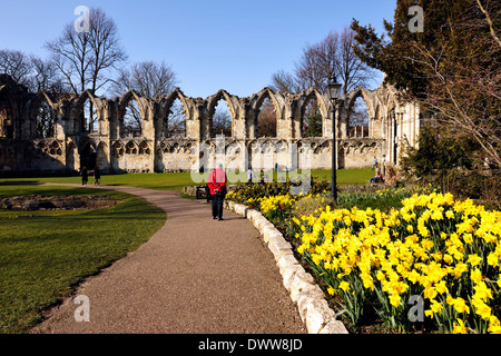 Un touriste coloré appréciant les fleurs de printemps dans les jardins botaniques, ville de York, Yorkshire, Angleterre Banque D'Images