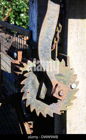 Un close-up de roues et pignons sur l'écluse de dérivation Bintree Mill sur la rivière Wensum à Bintree, Norfolk, Angleterre, Royaume-Uni Banque D'Images