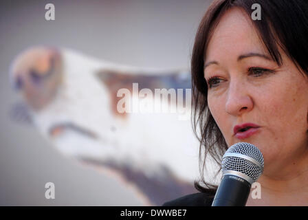 Kerry McCarthy MP (à l'Est de Bristol, du travail) s'exprimant lors de l'abattage du blaireau de protestation devant le parlement, le 13 mars 2014 Banque D'Images