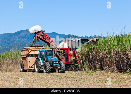 L'Australie, Queensland, récolte de canne près de Silkwood, Sports et loisirs, la canne à sucre l'ensileuse à travailler Banque D'Images