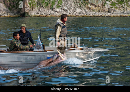 Les chasseurs de morses, Cap-d'Achen, Tchoukotka, Russie Banque D'Images