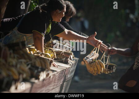 Mae Rim, Thaïlande. 13Th Mar, 2014. La canne à sucre et fruits fournisseurs proposent de donner aux éléphants. Chaque année le 13 mars, le peuple thaïlandais célébrer la Journée de l'éléphant, d'honorer l'animal national de la Thaïlande. Dans le nord de la Thaïlande, des professeurs de l'Université de Chiang Mai inscrivez-vous avec le parc des Éléphants de Mae Sa à des activités organisées pour célébrer la journée. Credit : Taylor Weidman/ZUMA/ZUMAPRESS.com/Alamy fil Live News Banque D'Images