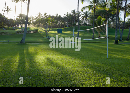 Volley-ball sur l'île de Maui, Hawaii en lumière du matin. Banque D'Images