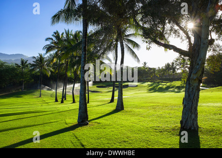 L'Irrigation sur Makena Golf à Wailea, Hawaii Banque D'Images