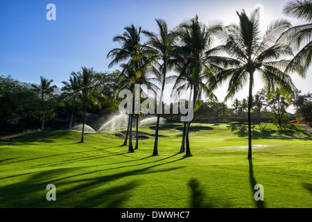 L'Irrigation sur Makena Golf à Wailea, Hawaii Banque D'Images