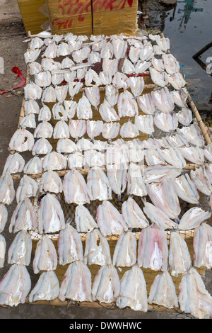 Le séchage du poisson sur le marché alimentaire rack à Marrakech dans l'île de Phu Quoc Vietnam Banque D'Images