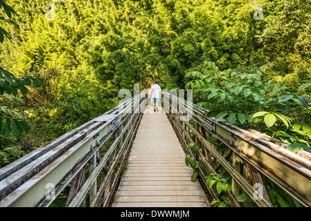 La randonnée sur le sentier Pipiwai à Maui. Banque D'Images