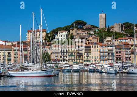 Le port dans la vieille ville de Cannes sur la Côte d'Azur dans le sud de la France. Banque D'Images