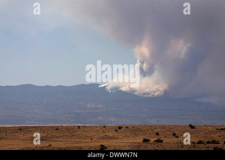 Panaches de fumée à partir de la houle d'un incendie de forêt près de Los Alamos dans les montagnes Jemez. Photo par Janet Porter Fiérement. Banque D'Images