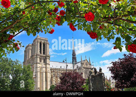 Notre Dame de Paris, France Banque D'Images