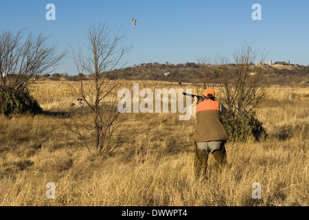 Chasseur d'oiseaux des hautes terres et de tourner avec moins de fusil à Greystone Château près de Mingus au Texas Banque D'Images