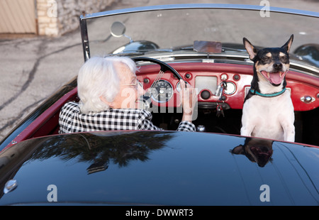 Femme âgée derrière la roue de voiture de sport avec chien dans le siège passager Banque D'Images