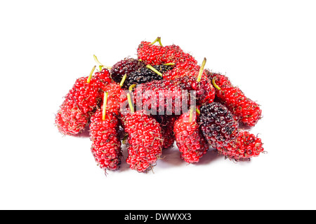 Pile de mulberry isolé sur fond blanc Banque D'Images